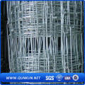 Grassland Fence/Field Fence/Cattle Fence/Perimeter Fence